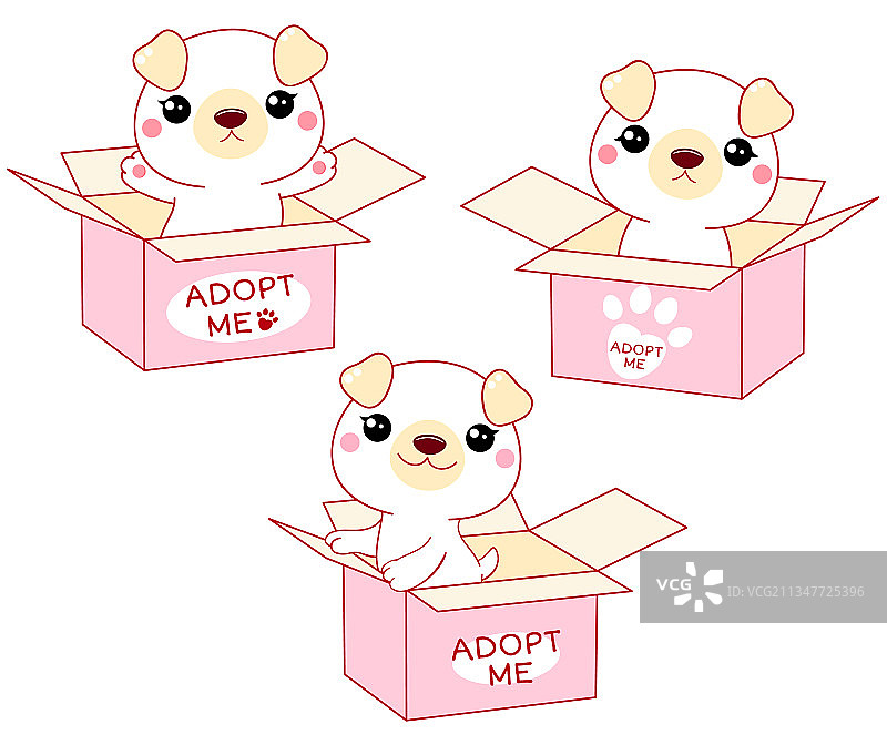 盒子里的可爱小白狗套装图片素材