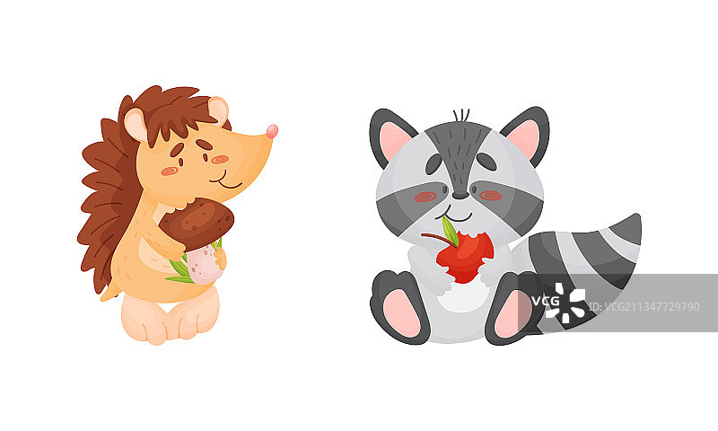 可爱动物丰收合集：可爱刺猬图片素材