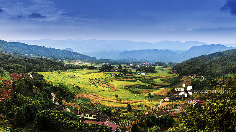《金秋时节》拍摄地：乐山市沙湾区四峨梯田图片素材