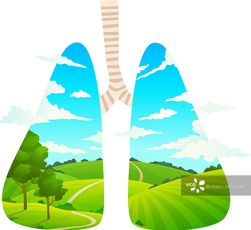呼吸新鲜空气，森林是肺图片素材