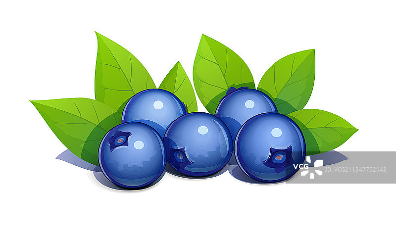 带叶子的蓝莓EPS10图片素材