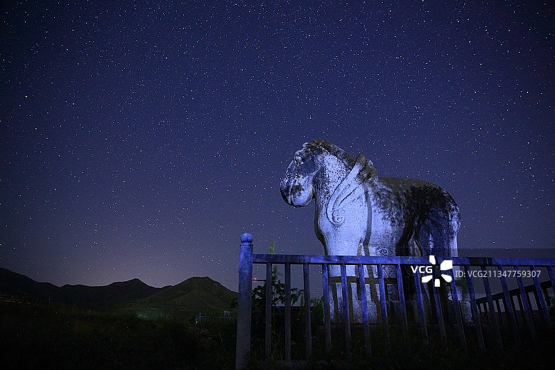 满天星图片素材