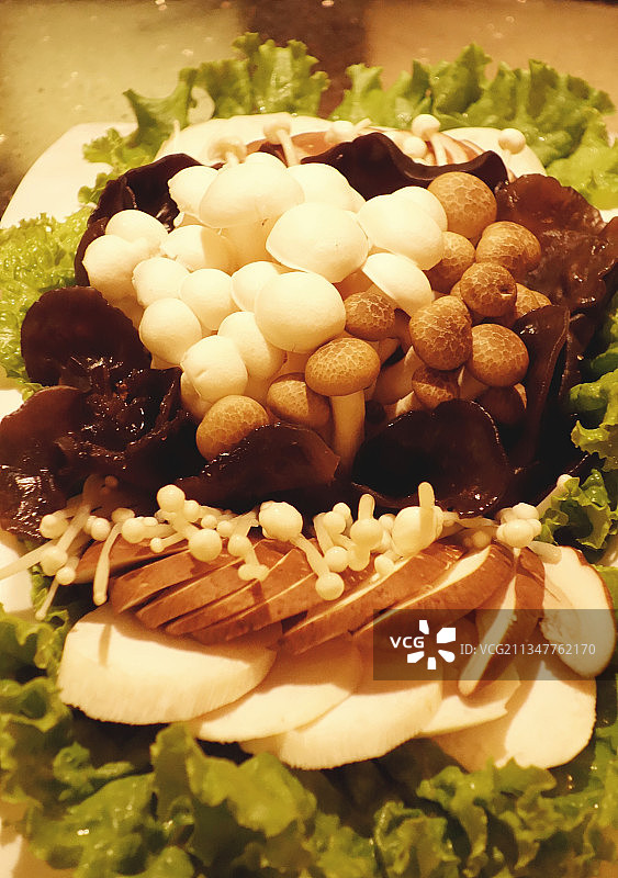 各种蘑菇图片素材