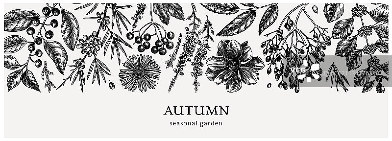 手绘秋季植物横幅图片素材