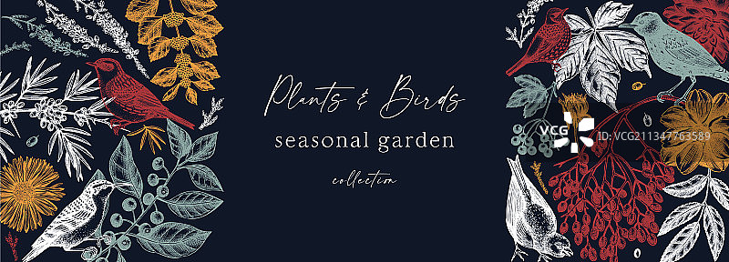 彩色手绘秋季banner设计图片素材