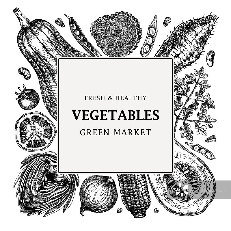 蔬菜香草丰收节边框设计图片素材