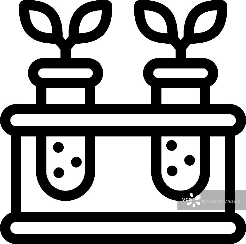 植物实验图片素材