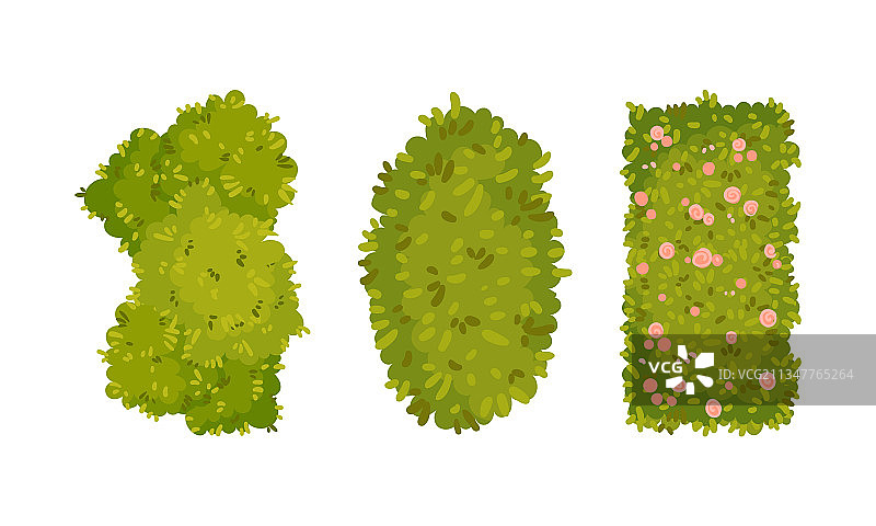 俯视不同形状的树篱图片素材