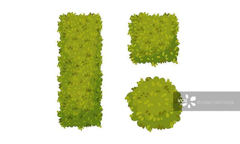 公园和花园中的各种形状树篱图片素材