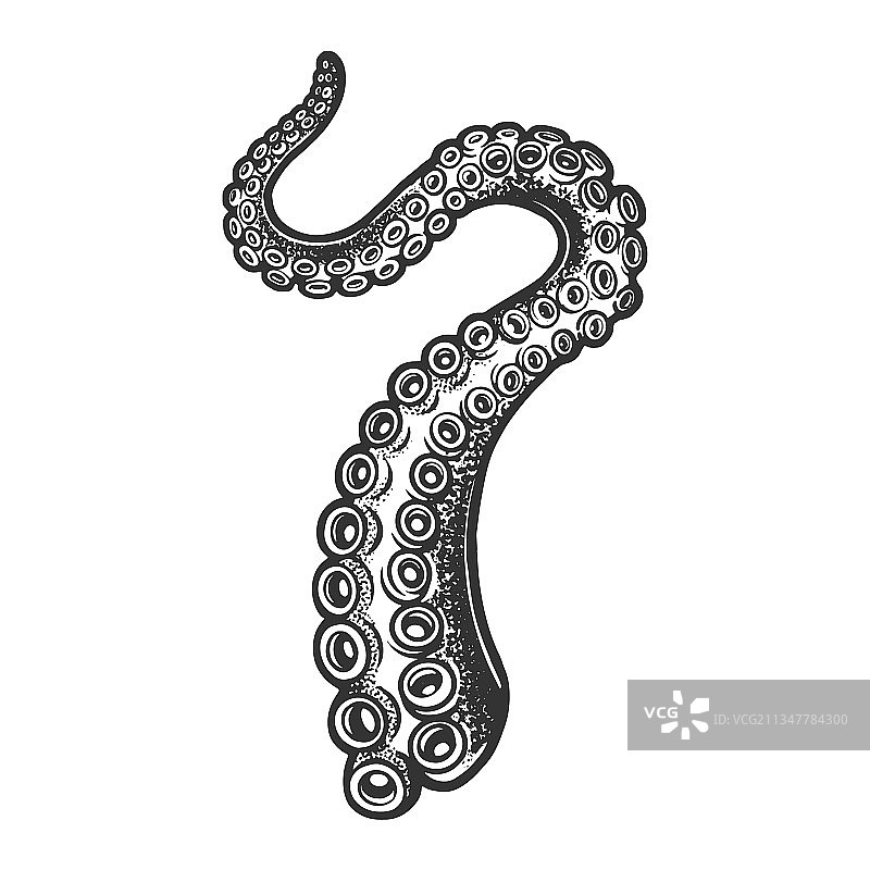 章鱼触手素描图片素材