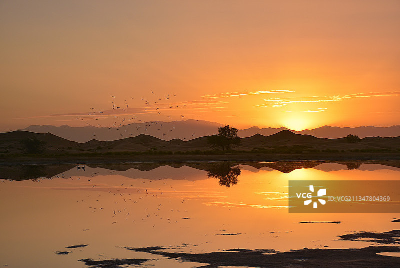 腾格里沙漠天鹅湖日出图片素材