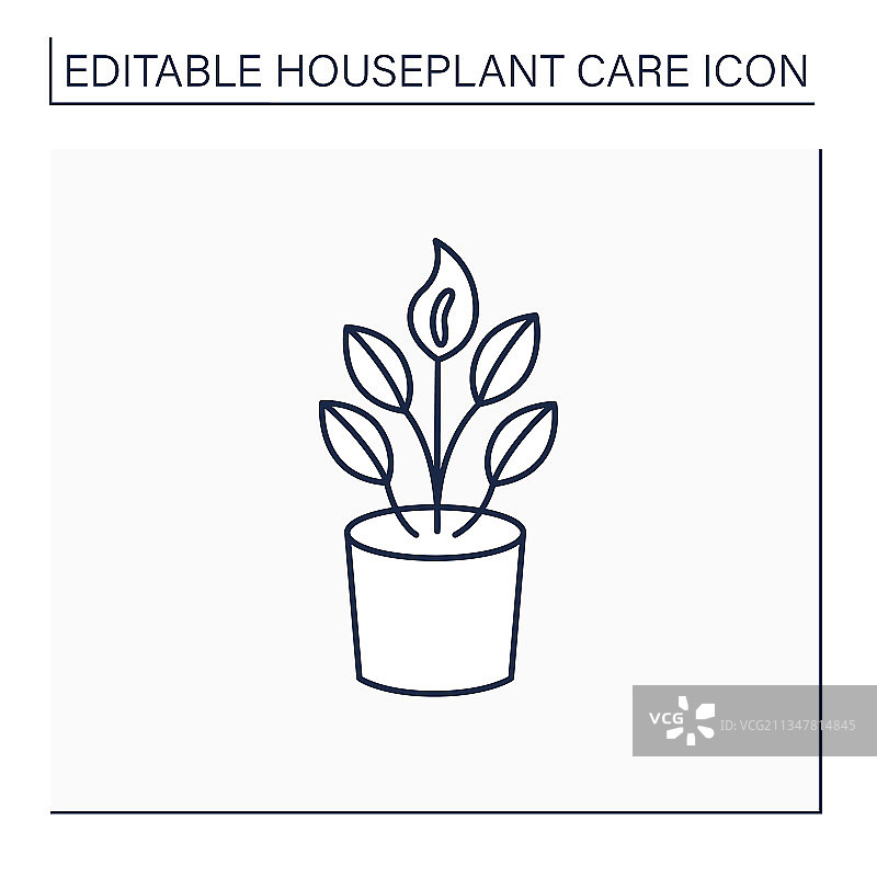 白鹤芋线条图标图片素材