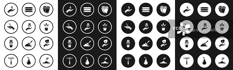 园艺手套手持花苗图片素材