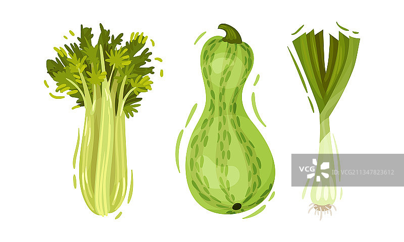 芹菜西葫芦绿色蔬菜组合图片素材