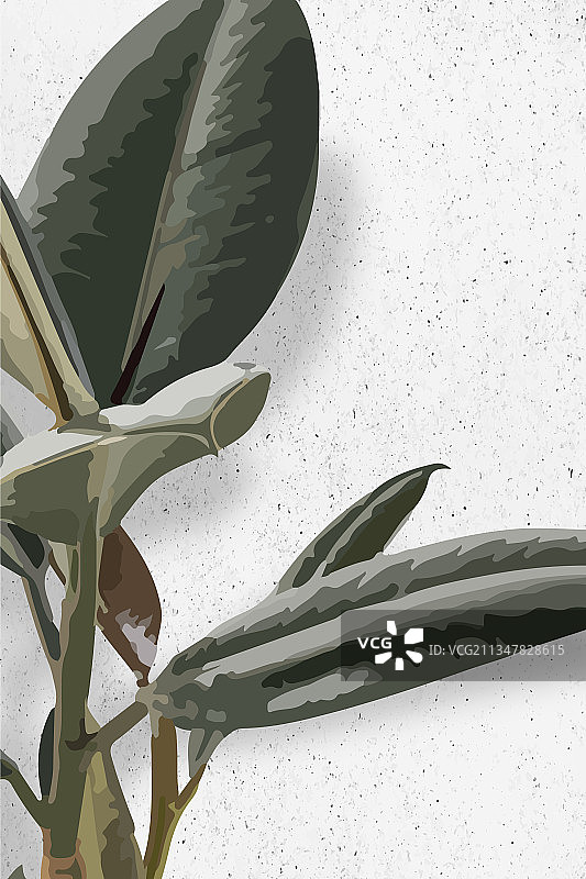 墙边的植物特写图片素材