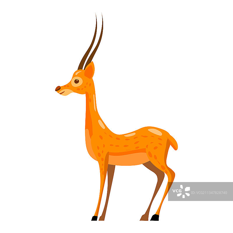 非洲长角羚羊野生动物图片素材