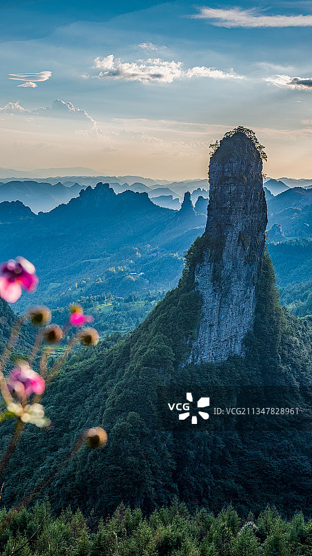 恩施大峡谷朝天笋图片素材