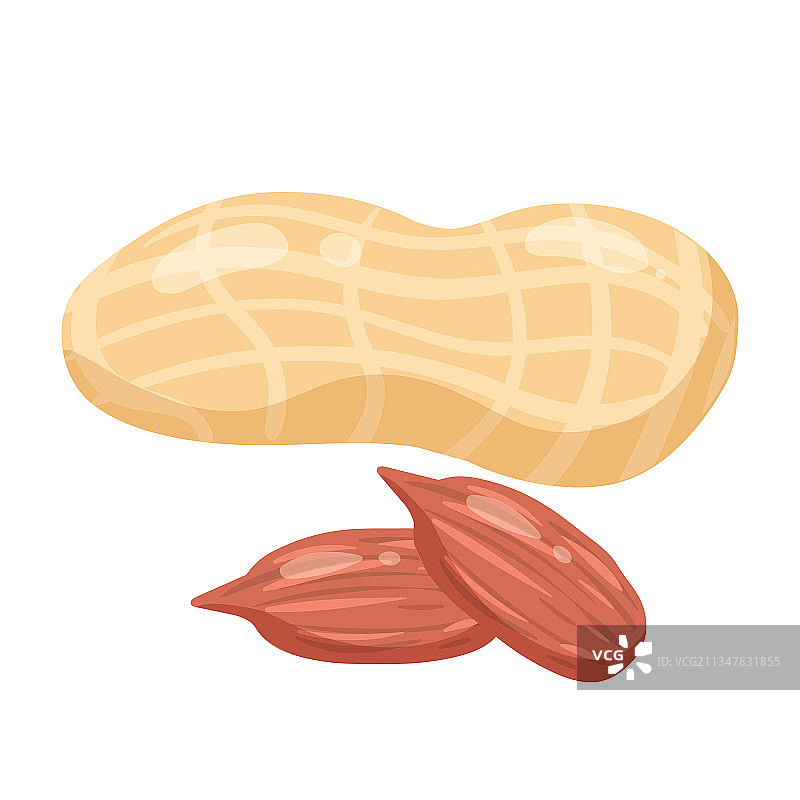 天然健康有机花生营养产品图片素材