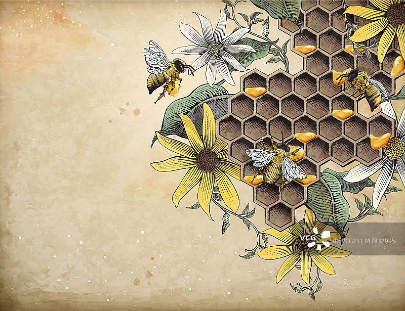 蜜蜂与养蜂场图片素材