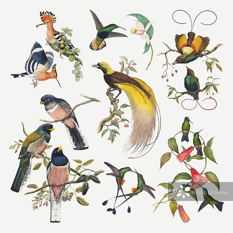 基本的rgb图片素材