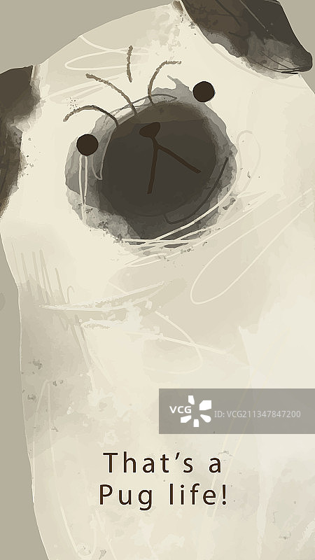 国际狗狗日社交媒体故事模板图片素材