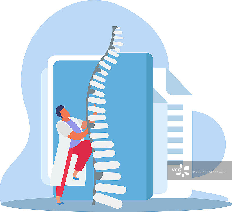 腿骨模型组合图片素材