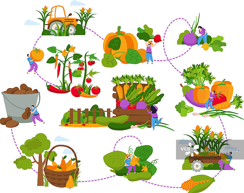 收割流程图扁平化设计图片素材