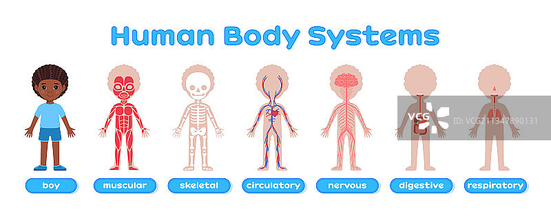 可爱的黑人男孩和卡通人体系统图片素材