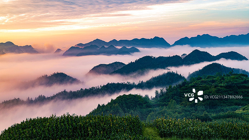 日出云海图片素材