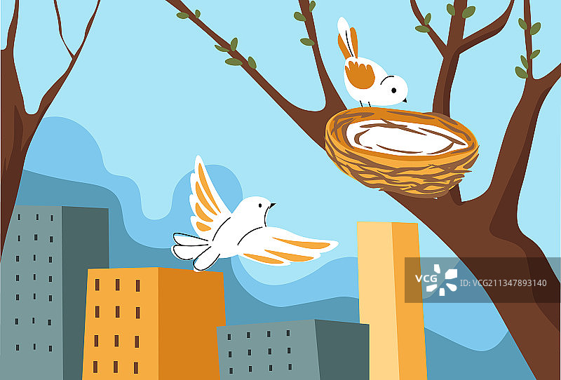 城市春季树上筑巢的鸟图片素材