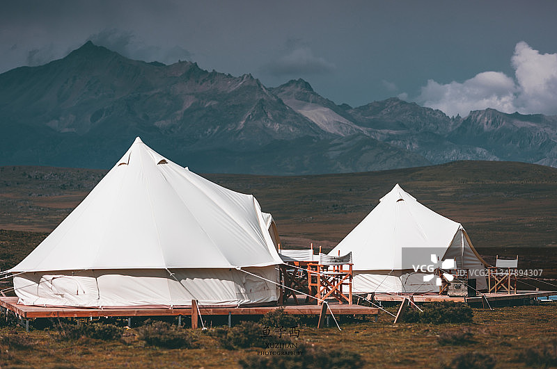 鱼子西图片素材