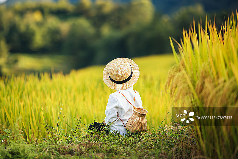 身穿白色上衣戴草帽的小男孩背着小背篓在秋天的稻田里玩耍图片素材