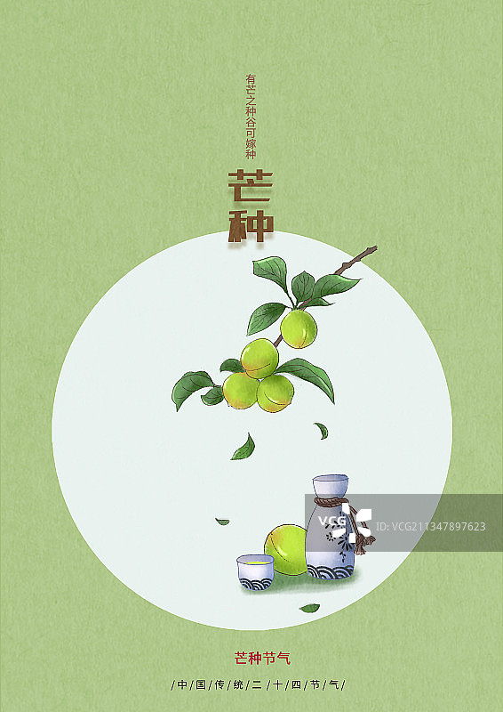 传统中国风24节气芒种青梅酒图片素材