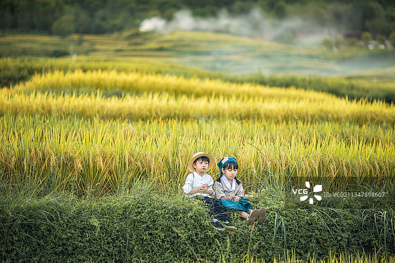 姐弟俩在秋天的稻田中游玩图片素材
