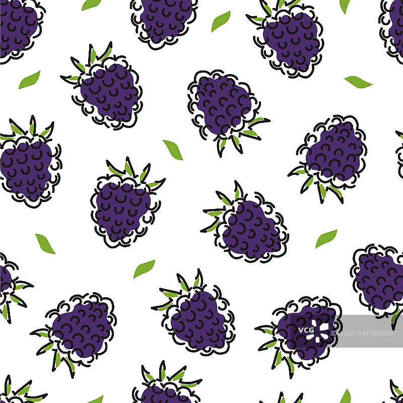白色背景上的黑色覆盆子无缝图案图片素材