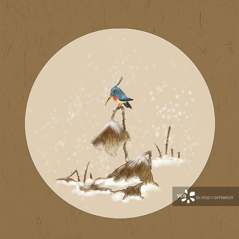 冬天雪中的残荷和翠鸟图片素材