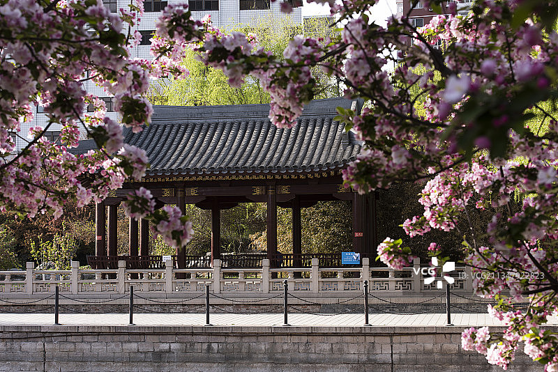 北京北土城公园图片素材