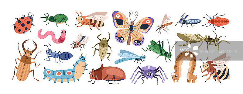 有趣的可爱卡通昆虫角色套装图片素材