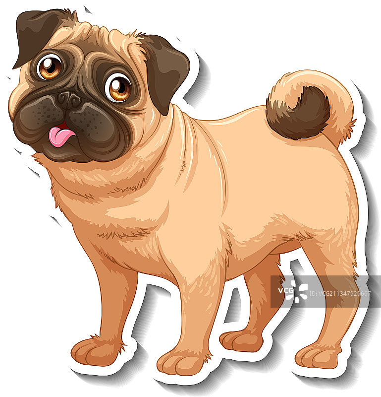 巴哥犬隔离贴纸设计图片素材