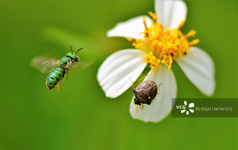 和谐、共存、共享、自然、美好图片素材