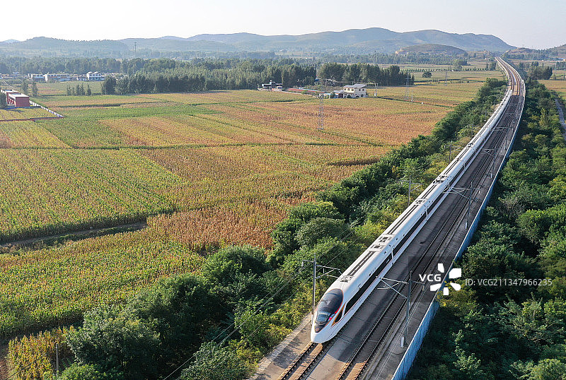 一列和谐号动车组列车驶经京沪高速铁路滕州段图片素材