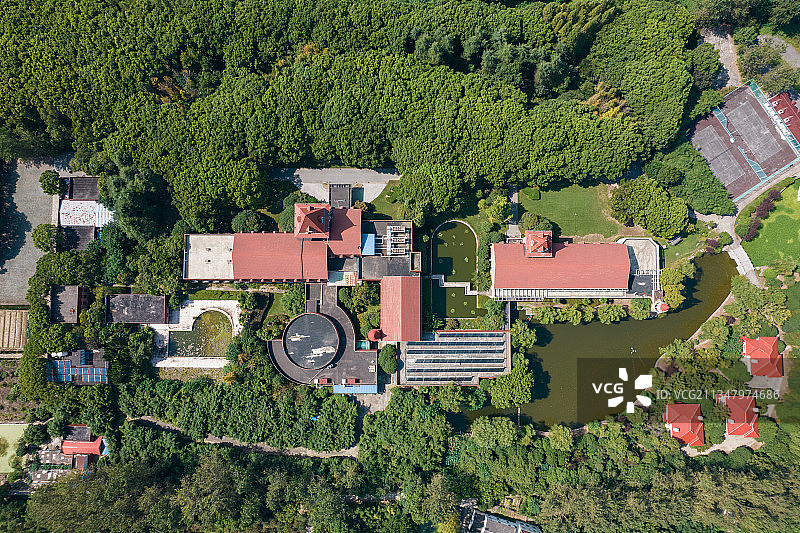 上海淀山湖森林度假村图片素材