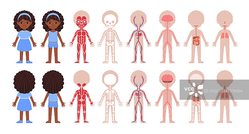 非裔黑人卡通女孩与人体系统图片素材