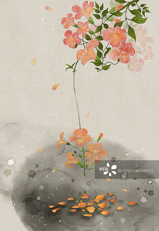 凌霄花水墨风图片素材