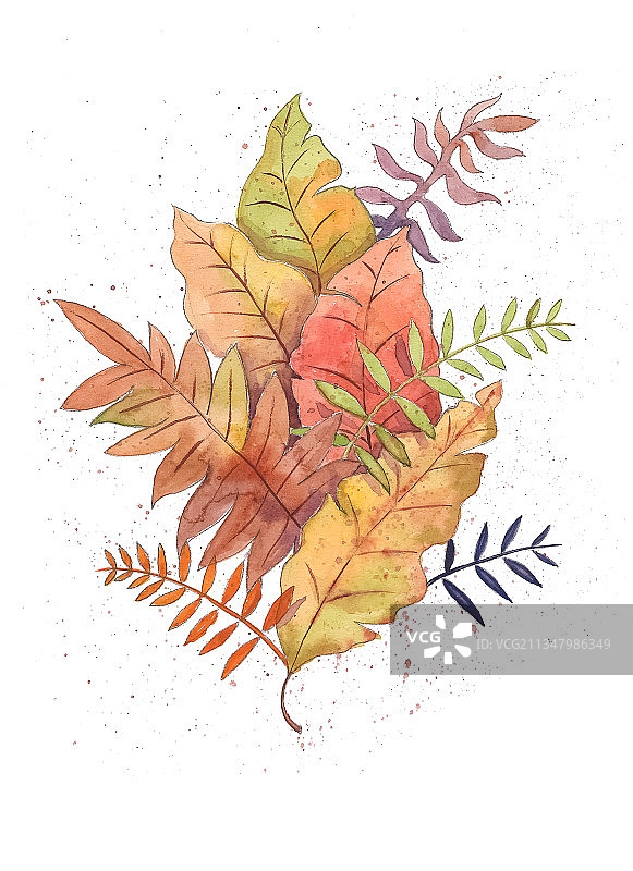 泛黄的叶子水彩插画图片素材