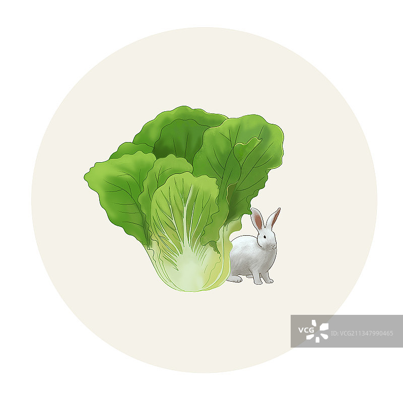 中国风童年往事小时候田地间大白菜野兔子二十四节气背景插画图片素材