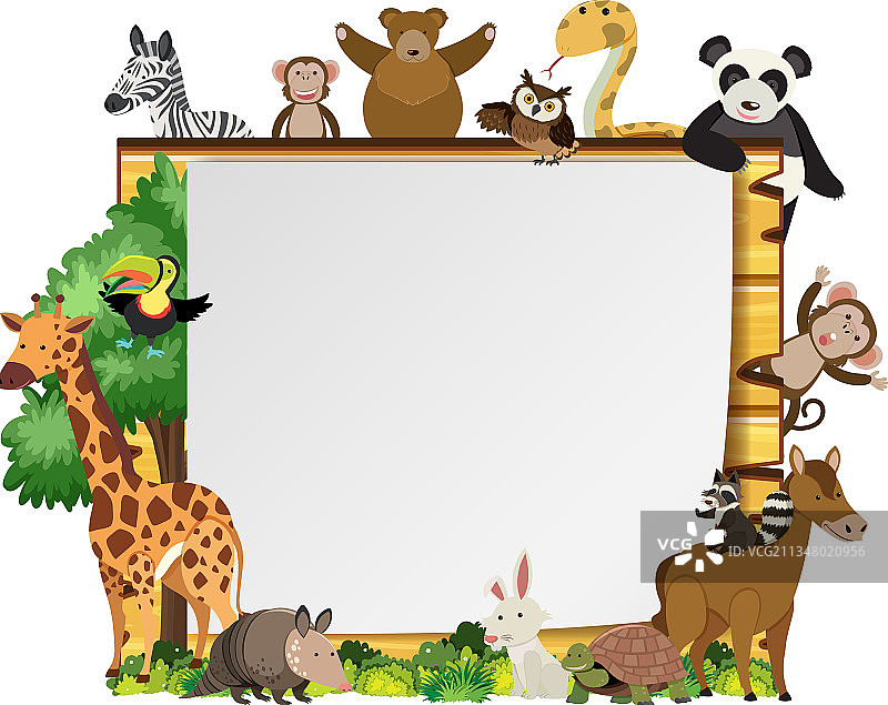 各种野生动物的空木制框架图片素材