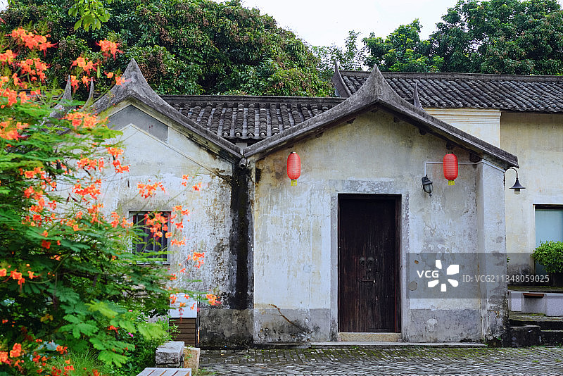 深圳观澜版画村花开不断图片素材