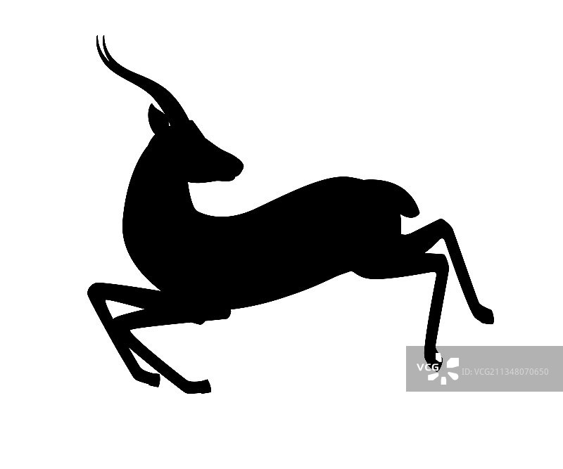 非洲黑尾野兔黑色剪影图片素材