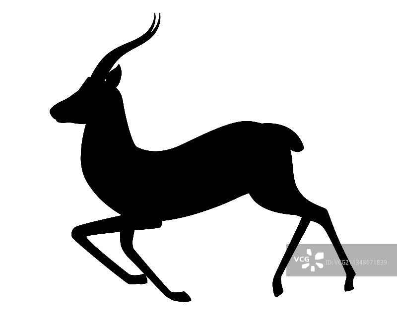 非洲黑尾野兔黑色剪影图片素材